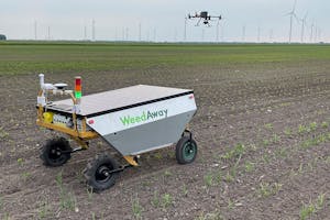 De drone detecteert ridderzuringplanten. Het prototype van de WeedAway-robot spoort de planten autonoom op, waarna hij ze plaatsspecifiek bestrijdt met een herbicide. - Foto: WeedAway