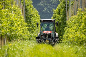 De Zweegers equipment group laat de Italiaanse importeur AgriVerde groeien door uitbreiding van het merk Massey Ferguson in verschillende regio’s. Foto: Zweegers equipment group