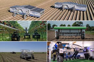 Vijf veldrobots die in staat zijn om één of meerdere handelingen in gewassen autonoom uit te voeren, zijn genomineerd voor de prijs Ag Robot of the Year 2024.  Dit zijn de vijf finalisten waarop jij je stem kunt uitbrengen. - Foto: Canva