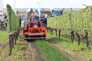 De nieuwe veldrobot Agilehelper richt zich vooral op wijngaarden met kleinere rijafstanden. De Agilehelper is 3,96 meter lang, 1,25 meter breed en 1,76 meter hoog. - Foto's: René Koerhuis